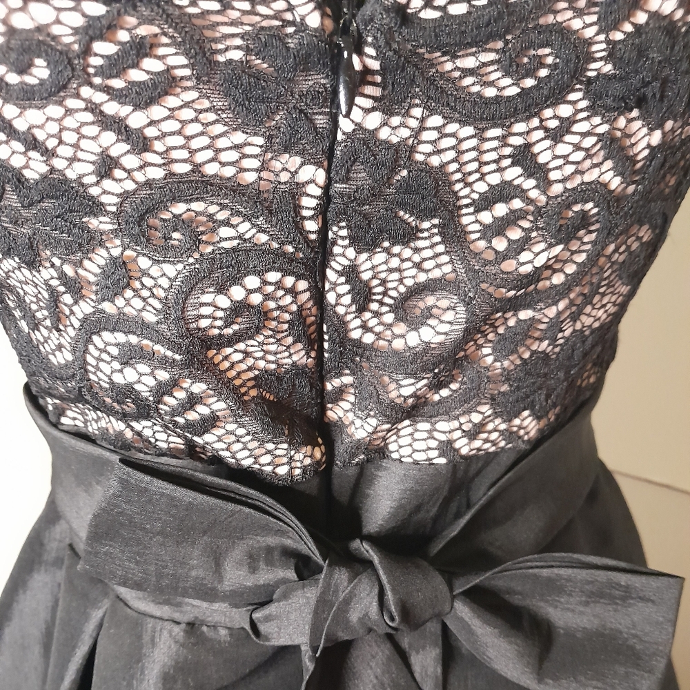 Elegant Pink and Black Strapless Fit and Flare Cocktail Dress - Picture 9 of 11